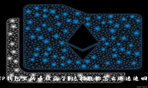 TP钱包里的币被盗了？这招教你怎么迅速追回！