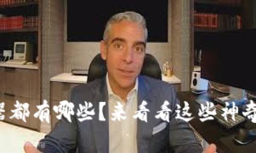 TP钱包加速器都有哪些？来看看这些神奇的加速工具！