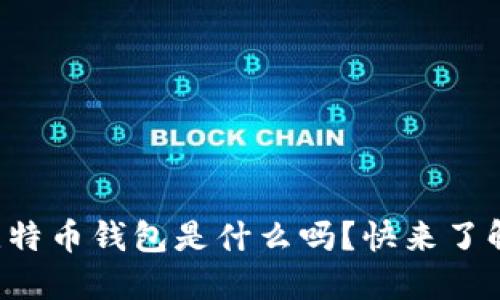 你知道传统比特币钱包是什么吗？快来了解它的秘密吧！