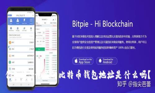 你知道3开头的比特币钱包地址是什么吗？