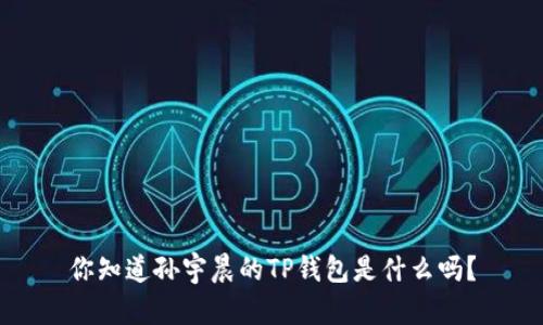 你知道孙宇晨的TP钱包是什么吗？