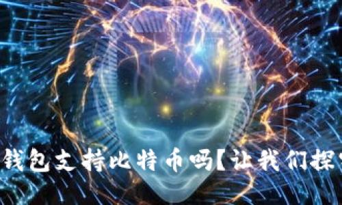 Steam钱包支持比特币吗？让我们探究一下！