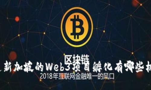 想知道新加坡的Web3项目孵化有哪些机会吗？