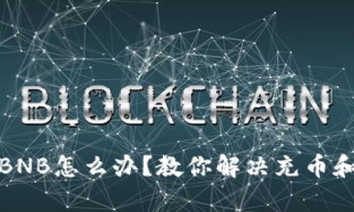 TP钱包没有BNB怎么办？教你解决充币和交易的问题