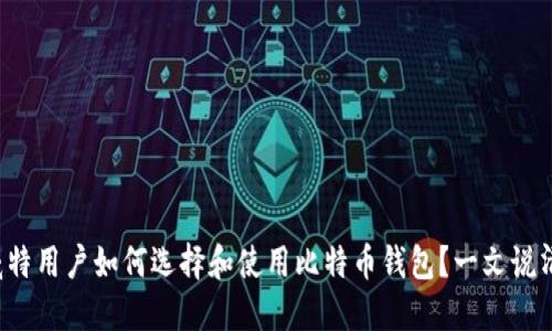 科威特用户如何选择和使用比特币钱包？一文说清楚！