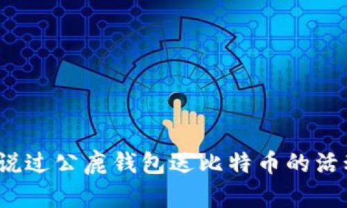 你听说过公鹿钱包送比特币的活动吗？