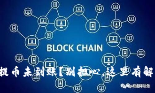 TP钱包提币未到账？别担心，这里有解决方案！