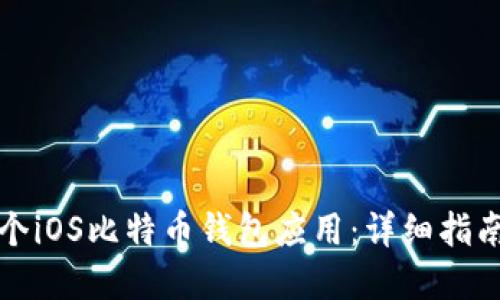 如何开发一个iOS比特币钱包应用：详细指南与实现技巧