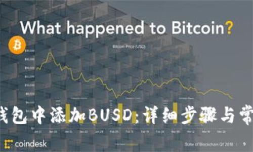  如何在TP钱包中添加BUSD：详细步骤与常见问题解答