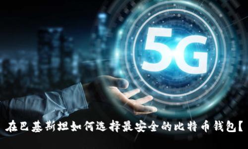 在巴基斯坦如何选择最安全的比特币钱包？