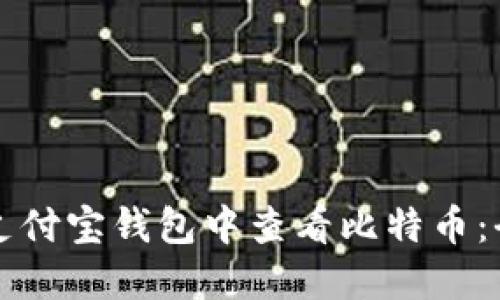 如何在支付宝钱包中查看比特币：全面指南