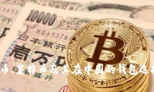 全解析：比特币、莱特币及其在中国的钱包选择与使用指南