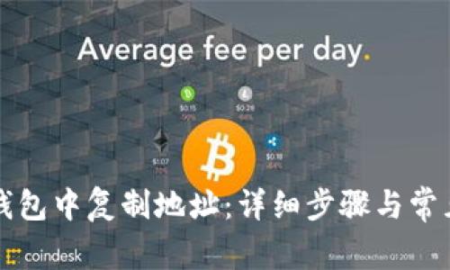 如何在TP钱包中复制地址：详细步骤与常见问题解答