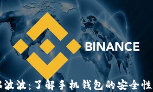 
比特币与瑞波波：了解手机钱包的安全性与使用方式