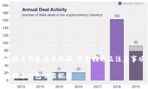 比特币钱包交易视频：完整指南及注意事项

比特币钱包交易视频