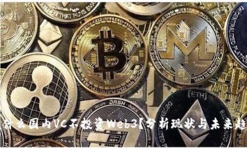 为什么国内VC不投资Web3？分析现状与未来趋势