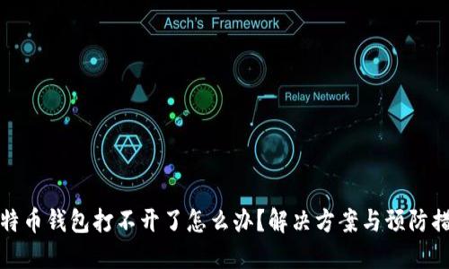 比特币钱包打不开了怎么办？解决方案与预防措施