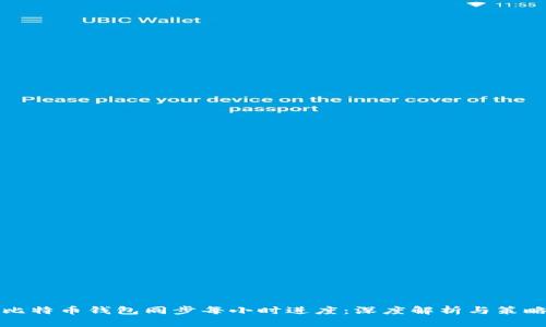 比特币钱包同步每小时进度：深度解析与策略