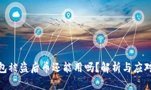 TP钱包被盗后币还能用吗？解析与应对措施