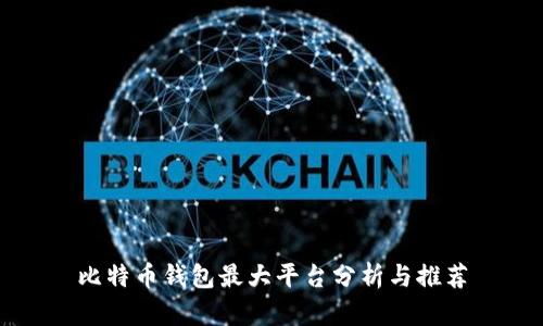 比特币钱包最大平台分析与推荐