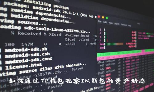 如何通过TP钱包观察IM钱包的资产动态