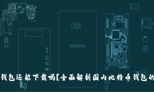 国内比特币钱包还能下载吗？全面解析国内比特币钱包的现状与前景