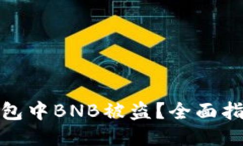 如何防止TP钱包中BNB被盗？全面指南与预防措施