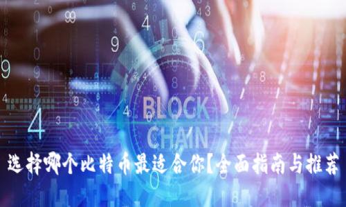 选择哪个比特币最适合你？全面指南与推荐